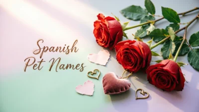 Spanish Pet Names